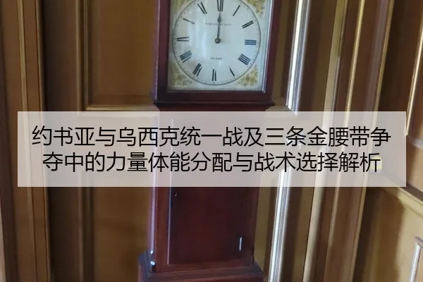 约书亚与乌西克统一战及三条金腰带争夺中的力量体能分配与战术选择解析